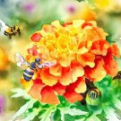 Tagetes Erecta African Marigold Crackerjack Flower Seeds Showy And Fragrant Easy to Grow