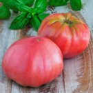 Brandywine Pink Standard Slicing Lycopersicon Esculentum Tomato Seeds Easy to Grow