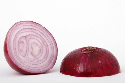 Onion Seeds Red Grano Heirloom Seeds  Easy to Grow