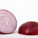 Onion Seeds Red Grano Heirloom Seeds  Easy to Grow