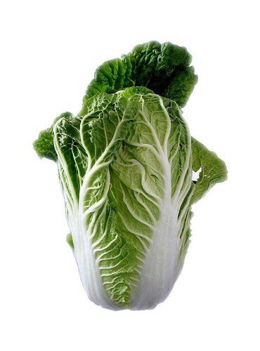 Michihili Bok Choi Chinese Cabbage Seeds Microgreens Sprouting  Easy to Grow