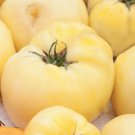 White Wonder Beefsteak Tomato Seeds  Easy to Grow