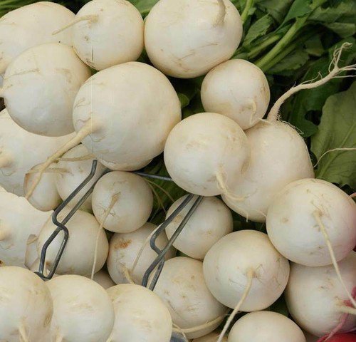 Heirloom Detroit White Beet Seeds Beta Vulgaris  Easy to Grow