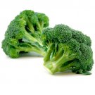 Heirloom Calabrese Broccoli Seeds Brassica Oleracea Easy to Grow