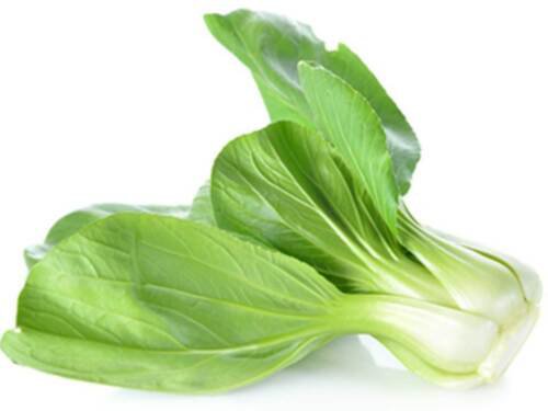 White Stem Chinese Pak Choi Cabbage Heirloom Seed  Easy to Grow
