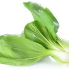White Stem Chinese Pak Choi Cabbage Heirloom Seed  Easy to Grow