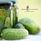 National Pickling Cucumber Heirloom Seeds  Easy to Grow