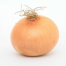 Sweet Spanish Yellow Onion Heirloom Vegetable Seeds  Easy to Grow