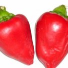 Sweet Pimento Pepper Seeds  Easy to Grow