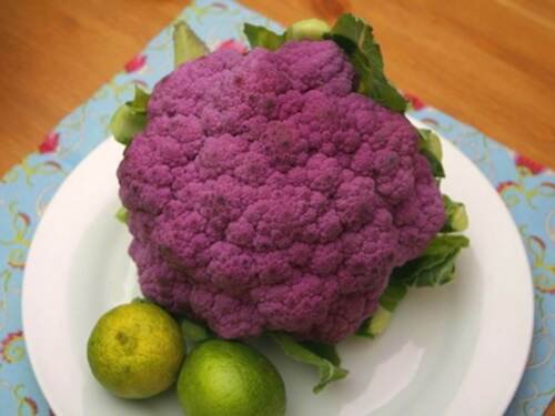 Heirloom Purple Sprouting Broccoli Seeds Brassica Oleracea Var Italica  Easy to Grow
