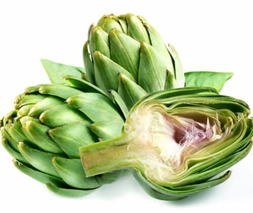 Green Globe French Artichoke Heirloom Non Gmo Seeds  Easy to Grow