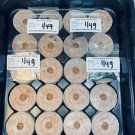 Onion Greenhouse Kit Bundle Easy to Grow