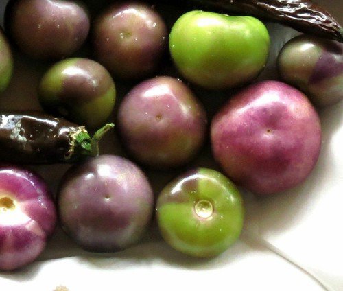 Purple Tomatillo Rare Heirloom Salsa Fruit Physalis Ixocarpa  Easy to Grow