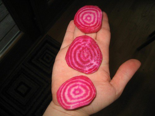 Chioggia Beet Open Pollinated Heirloom Vegetable Seeds  Easy to Grow