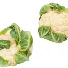 Cauliflower Snowball Improved Garden Seeds  Easy to Grow
