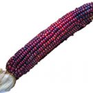Heirloom Bloody Butcher Corn Seeds Zea Mays  Easy to Grow