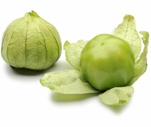Tomatillo Grande Rio Verde Heirloom Seeds Lycopersicon Esculentum  Easy to Grow