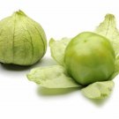 Tomatillo Grande Rio Verde Heirloom Seeds Lycopersicon Esculentum Easy to Grow Tomatillo Grande Rio Verde Heirloom Seeds Lycopersicon Esculentum Easy to Grow