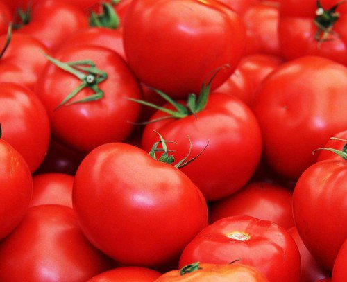 Floradade Tomato Heirloom Garden Seeds  Easy to Grow