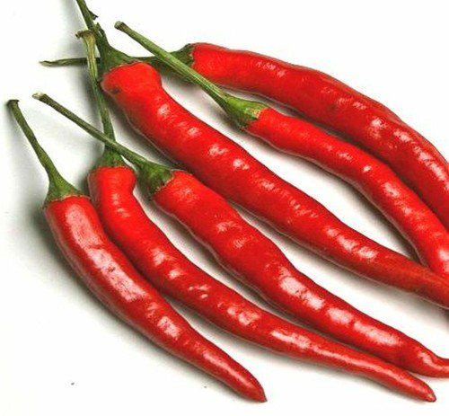 Cayenne Long Thin Red Pepper Heirloom Seeds  Easy to Grow