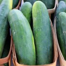 Straight Eight Cucumber Seeds  Easy to Grow