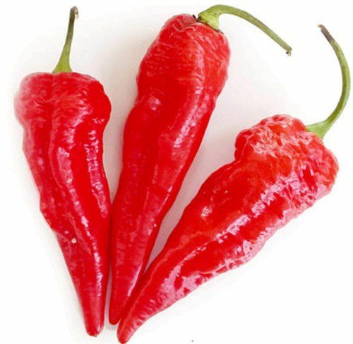 Ghost Pepper Seeds Bhut Jolokia Chili  Easy to Grow