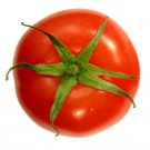 Wisconsin Heirloom Tomato Seeds  Easy to Grow