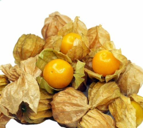 Pineapple Tomatillo Seeds Physalis Pruinosa  Easy to Grow