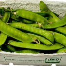 Sugar Snap Pea Seeds  Easy to Grow
