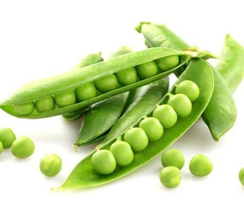 Lincoln Shell Pea Seeds  Easy to Grow