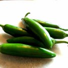 Serrano Pepper Heirloom Open Pollinated Seeds  Easy to Grow