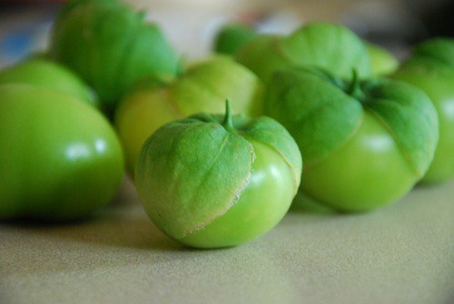 Toma Verde Tomatillo Heirloom Seeds Physalis Philadelphica  Easy to Grow