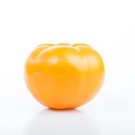 Heirloom Tomato Brandywine Yellow Seeds Solanum Lycopersicum  Easy to Grow