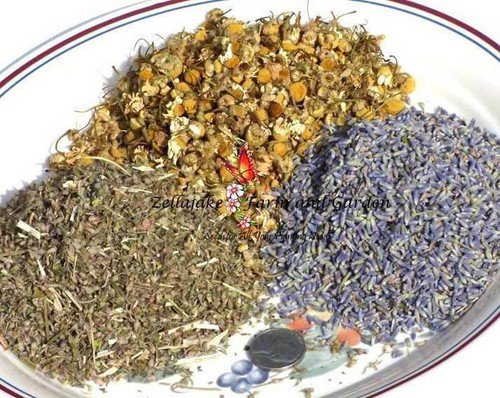 Exclusive Evening Tea Blend Herbal Relaxation Easy to Grow