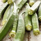 Clemson Spineless Okra Heirloom Garden Seeds  Easy to Grow