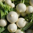 White Egg Turnip Heirloom Garden Seeds  Easy to Grow