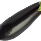 Long Purple Eggplant Heirloom Seeds  Easy to Grow
