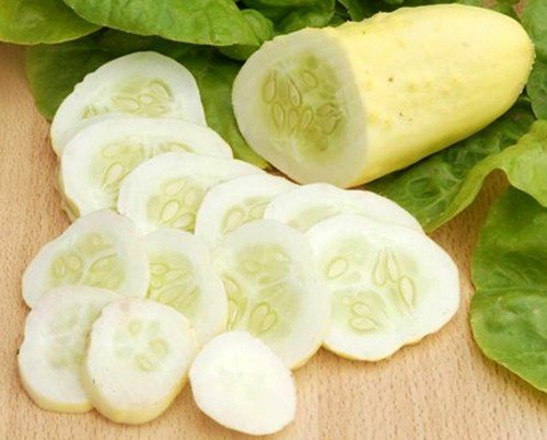 Cucumber White Wonder Heirloom Seeds  Easy to Grow