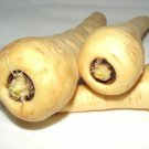 Parsnip Harris Model Seeds Binc Easy to Grow