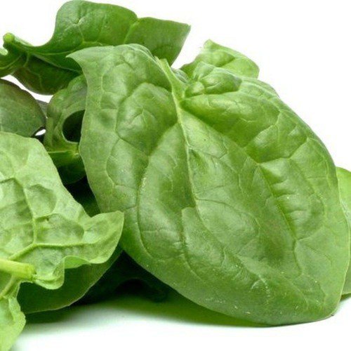 Viroflay Spinach Heirloom Garden Seeds  Easy to Grow