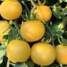 100 Sweet Lemon Tomato Seeds Organic Easy to Grow
