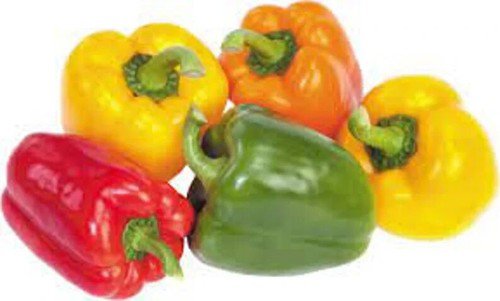 100 California Bell Pepper Assorted Colors Seeds Organic Easy to Grow