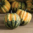 10 Sweet Dumpling Squash Seeds Organic Easy to Grow
