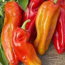 50 Cubanelle Italian Sweet Frying Pepper Seeds Organic Easy to Grow