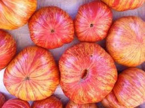 20 Candy Stripe Tomato Seeds Organic Easy to Grow