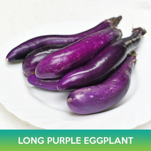 Long Purple Eggplant Seeds Easy to Grow
