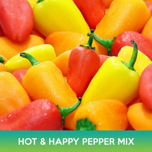 Hot And Happy Pepper Mix Seeds Easy to Grow