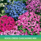 Rock Cress Cascading Mix Seeds Aubrieta Hybrida Superbissima Cascade Easy to Grow