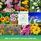 Bird And Butterfly Wildflower Mix Seeds Easy to Grow