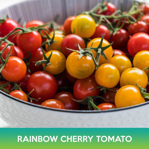 Rainbow Cherry Tomato Mix Seed Easy to Grow